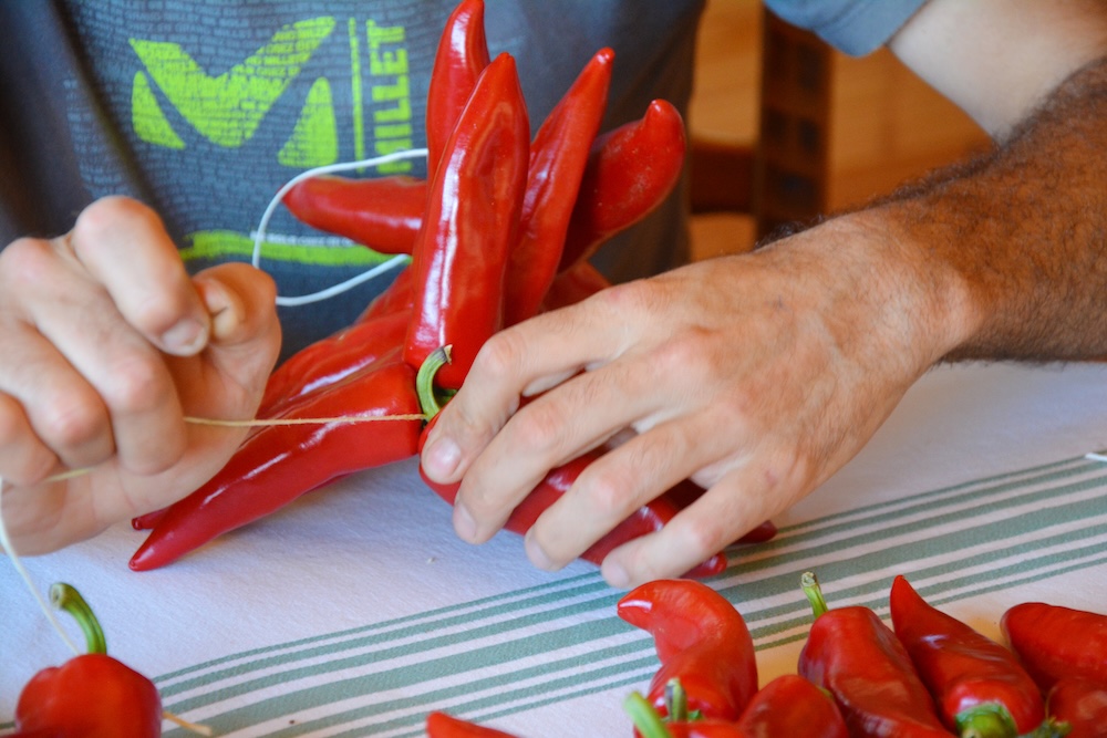 Cordes-Piment-Espelette-AOP-Iltze-2